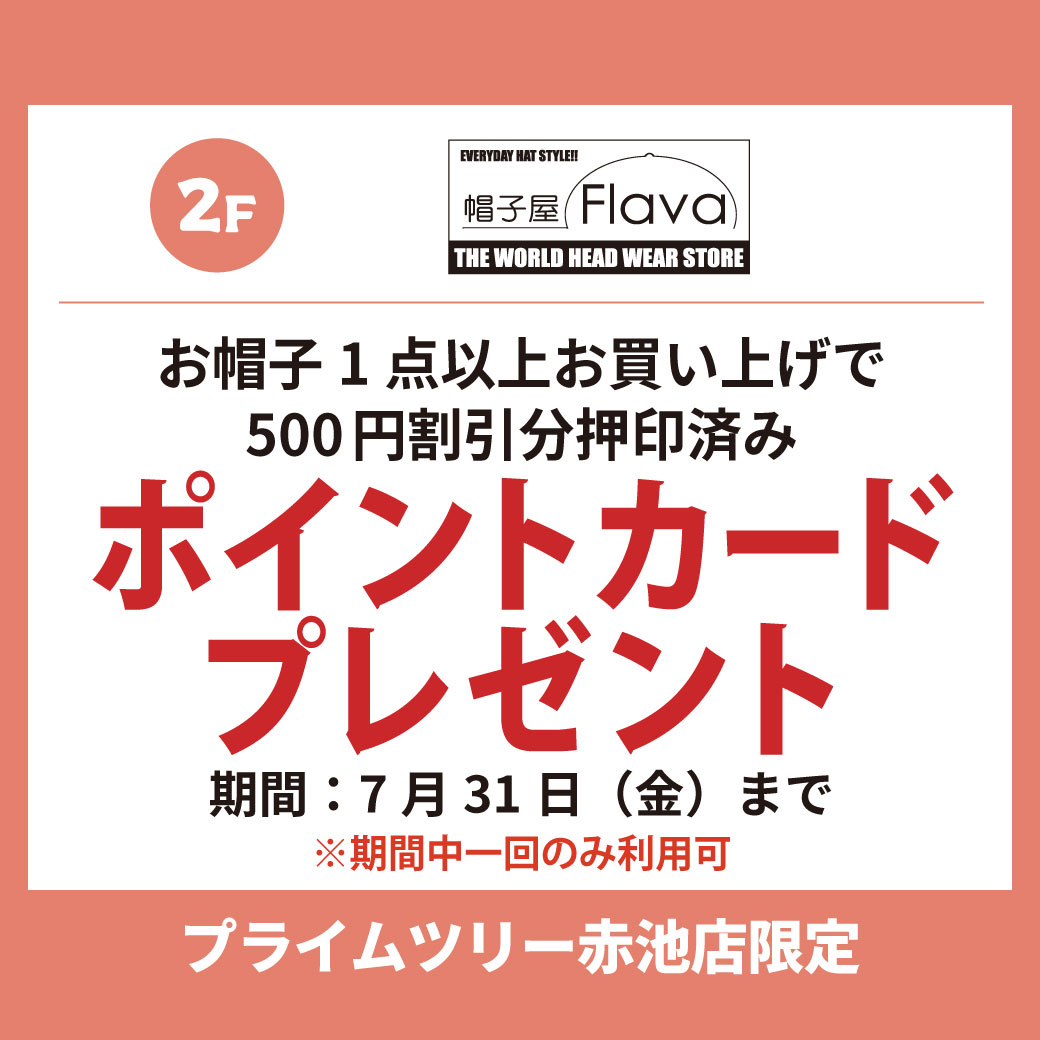 FLAVA.jpg