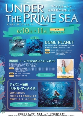 UNDER THE PRIME SEA　