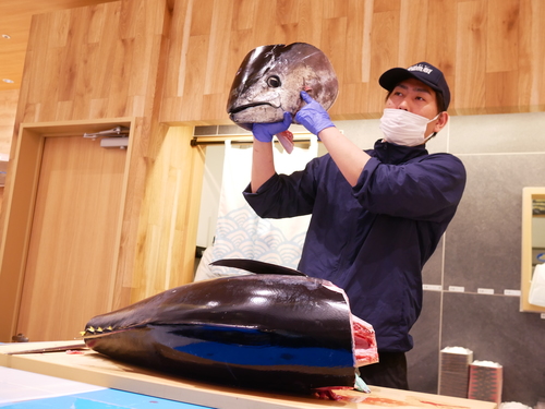 4月のまぐろ解体ショー開催日