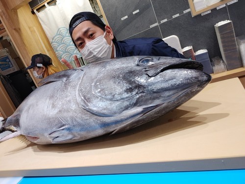 ６月のまぐろ解体ショー