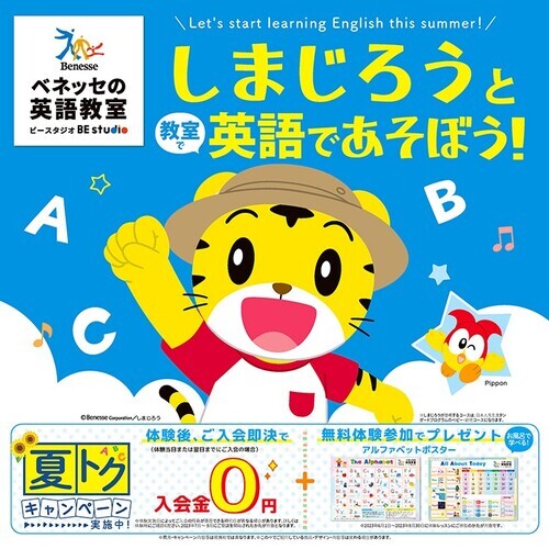 チラシの画像