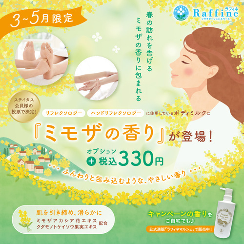 ミモザ