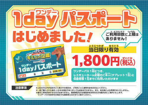 1dayパス