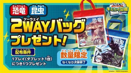 ２wayバッグプレゼント