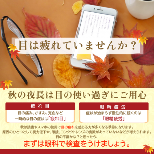 秋