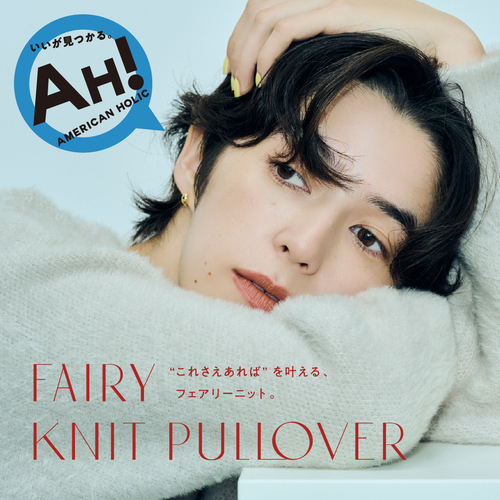 フェアリーニット画像