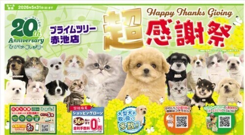 超感謝祭チラシ