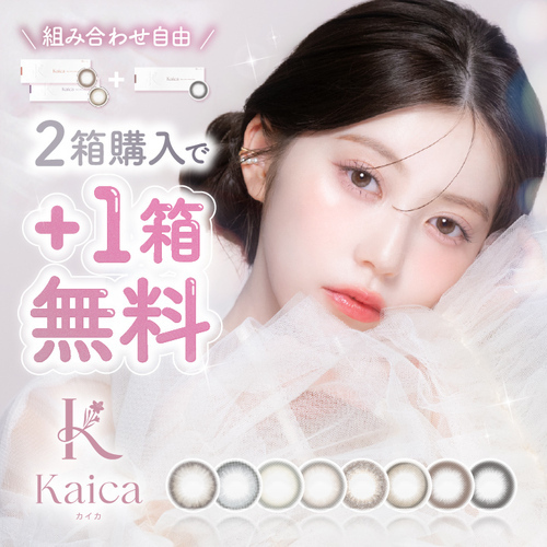 kaica_main_2plus1_nochoice