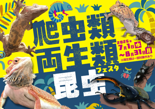 昆虫フェスタ