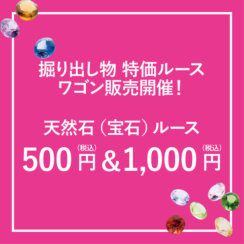 ワゴン1